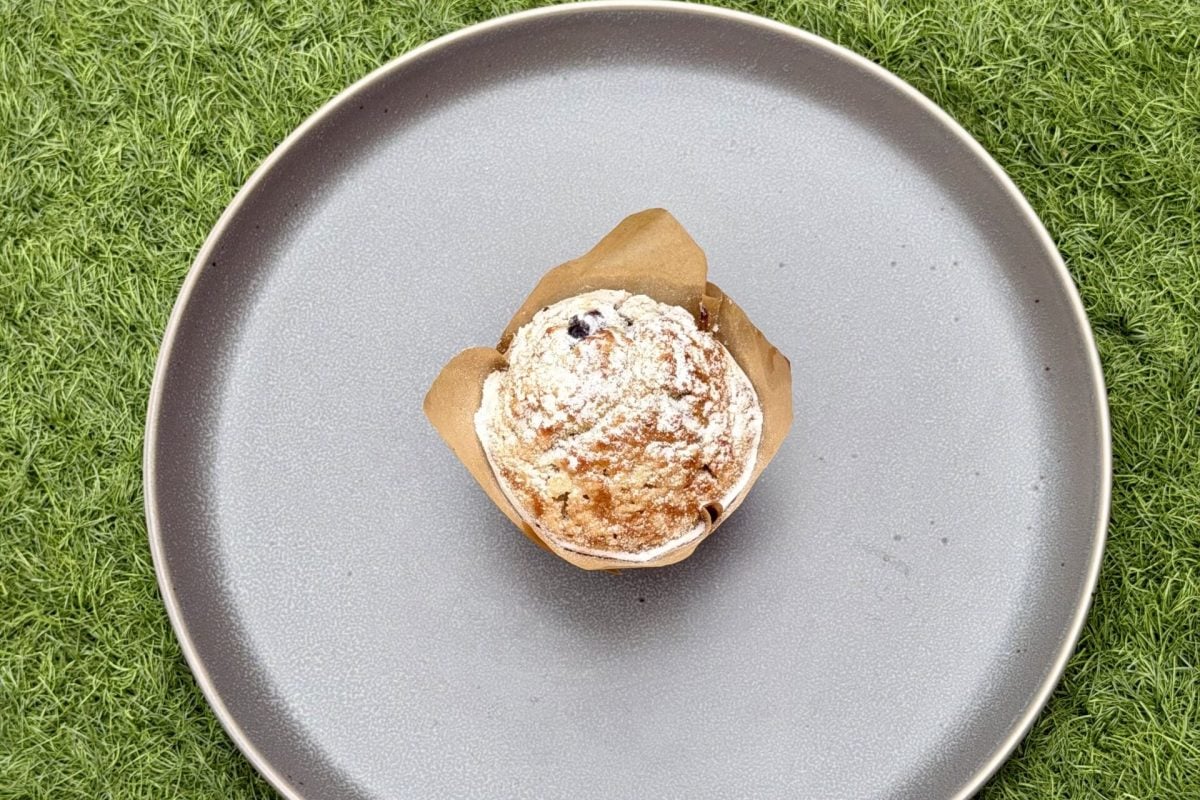 blueberry muffin